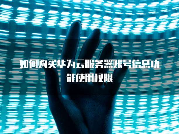 如何购买华为云服务器账号信息功能使用权限