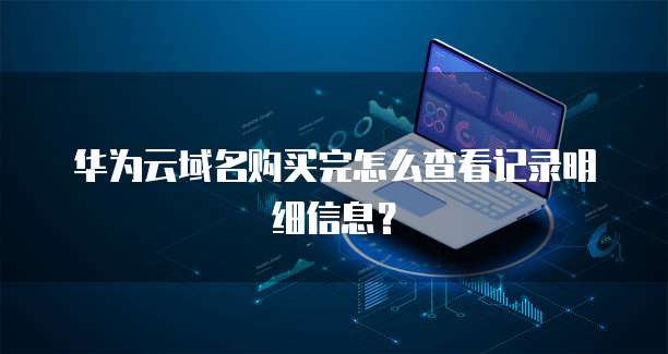 华为云域名购买完怎么查看记录明细信息？