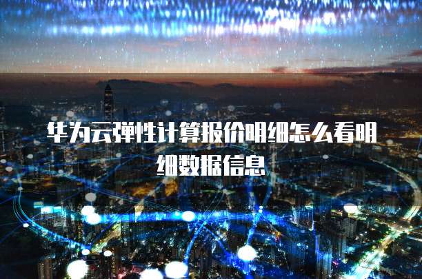 华为云弹性计算报价明细怎么看明细数据信息