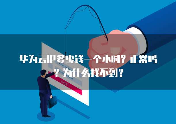 华为云IP多少钱一个小时?正常吗?为什么找不到?