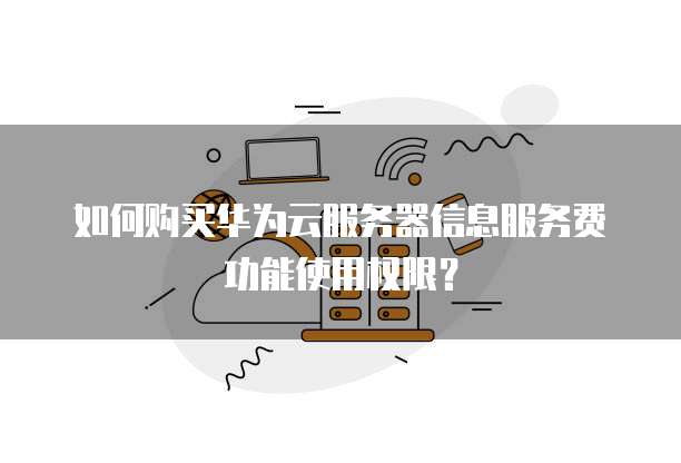 如何购买华为云服务器信息服务费功能使用权限?