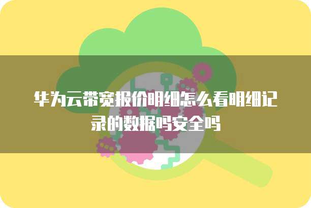 华为云带宽报价明细怎么看明细记录的数据吗安全吗