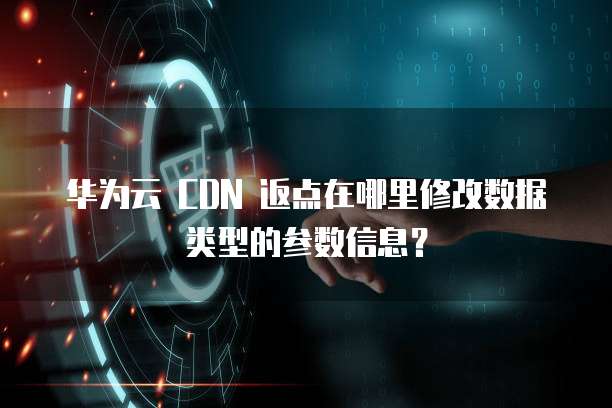 华为云 CDN 返点在哪里修改数据类型的参数信息?