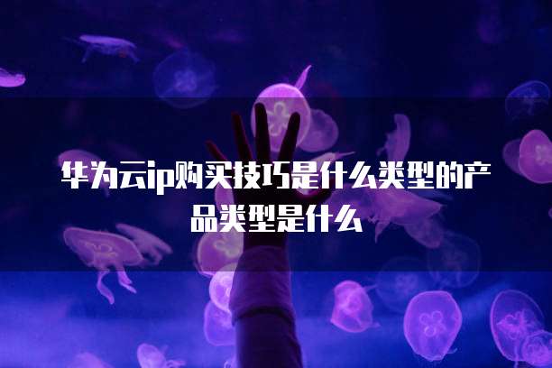 华为云ip购买技巧是什么类型的产品类型是什么