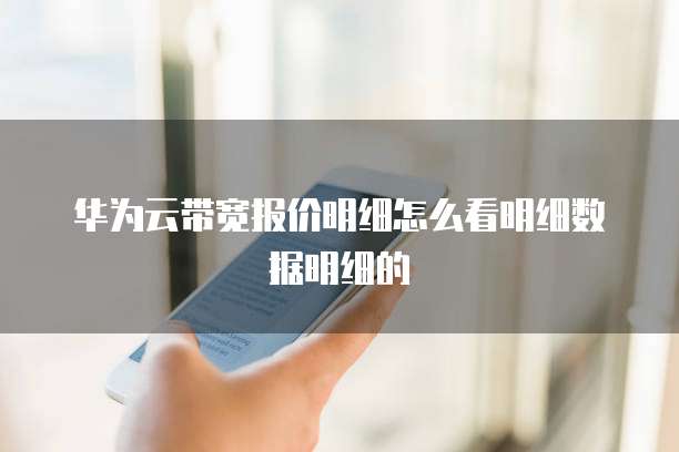 华为云带宽报价明细怎么看明细数据明细的