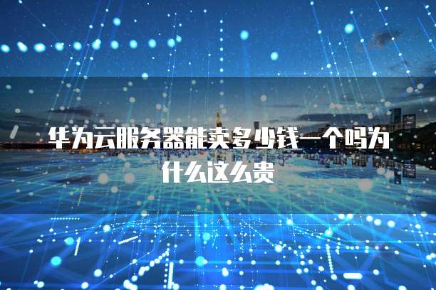 华为云服务器能卖多少钱一个吗为什么这么贵