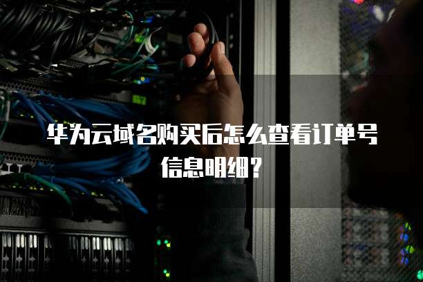 华为云域名购买后怎么查看订单号信息明细？
