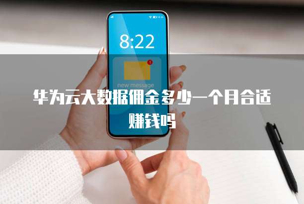 华为云大数据佣金多少一个月合适赚钱吗