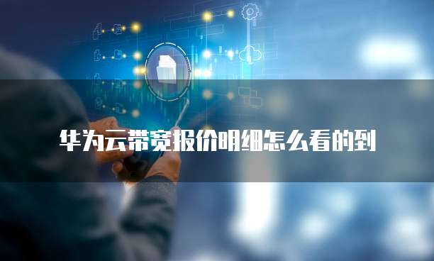 华为云带宽报价明细怎么看的到