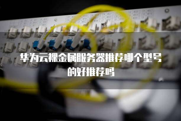华为云裸金属服务器推荐哪个型号的好推荐吗