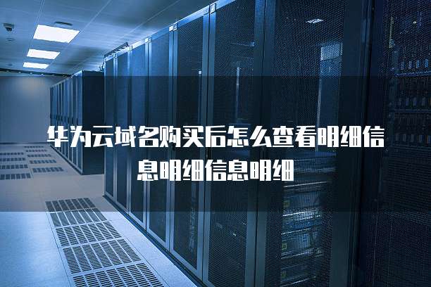 华为云域名购买后怎么查看明细信息明细信息明细