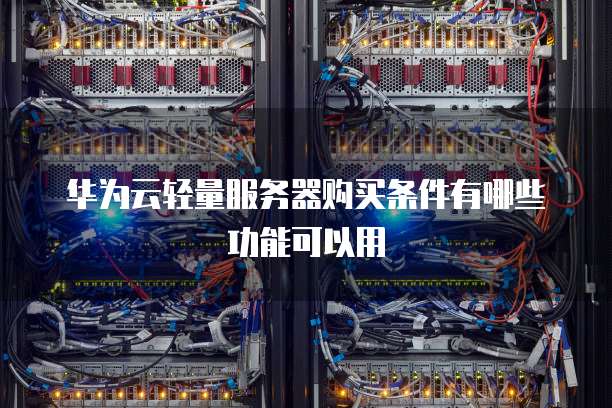 华为云轻量服务器购买条件有哪些功能可以用