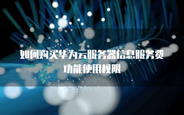 如何购买华为云服务器信息服务费功能使用权限