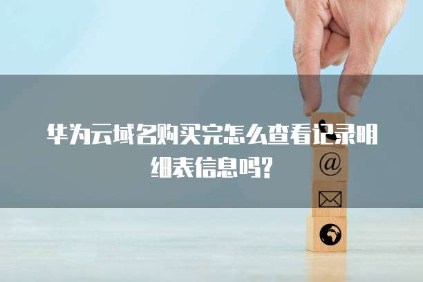 华为云域名购买完怎么查看记录明细表信息吗?