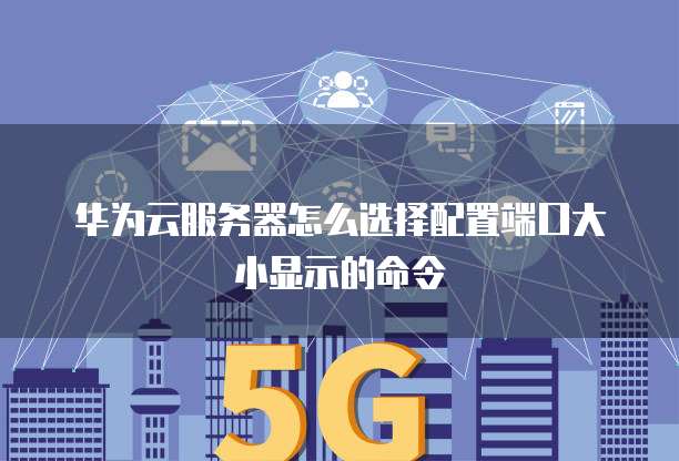 华为云服务器怎么选择配置端口大小显示的命令