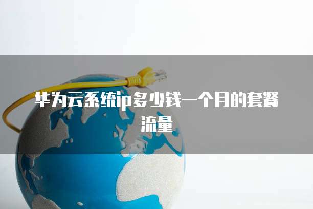 华为云系统ip多少钱一个月的套餐流量