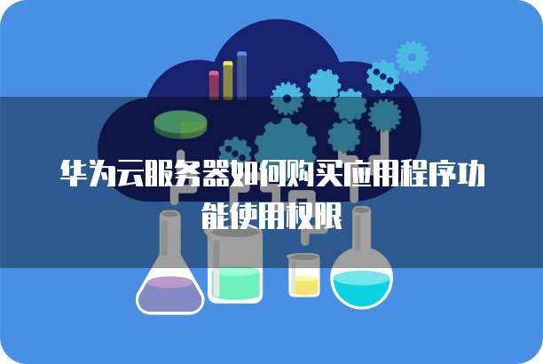 华为云服务器如何购买应用程序功能使用权限