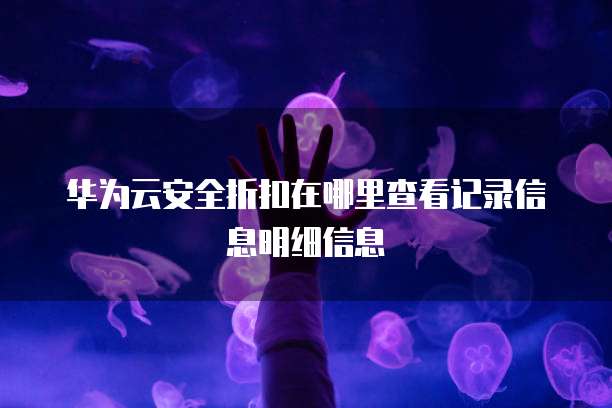 华为云安全折扣在哪里查看记录信息明细信息