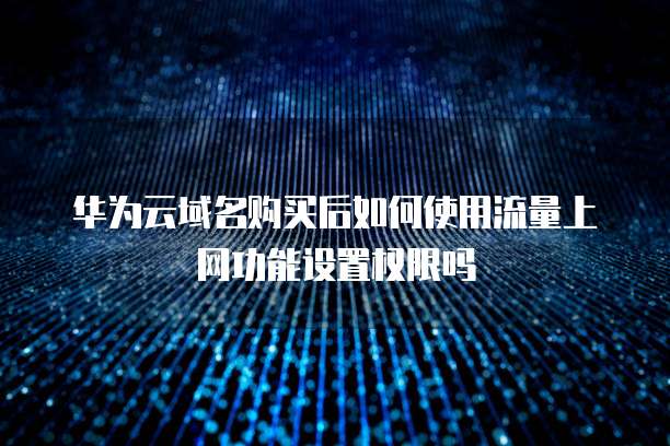 华为云域名购买后如何使用流量上网功能设置权限吗