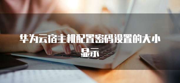华为云宿主机配置密码设置的大小显示