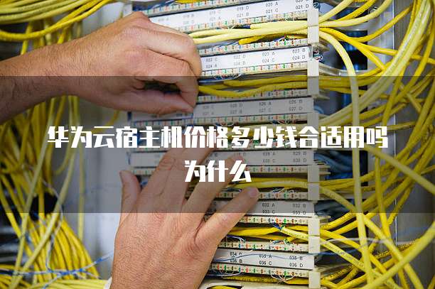 华为云宿主机价格多少钱合适用吗为什么