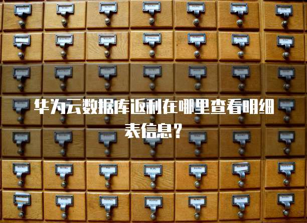 华为云数据库返利在哪里查看明细表信息？