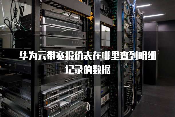 华为云带宽报价表在哪里查到明细记录的数据