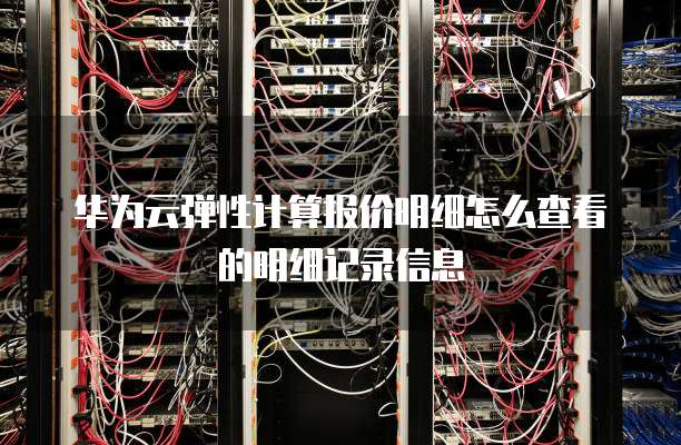 华为云弹性计算报价明细怎么查看的明细记录信息