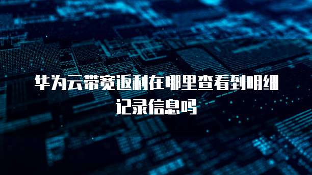 华为云带宽返利在哪里查看到明细记录信息吗