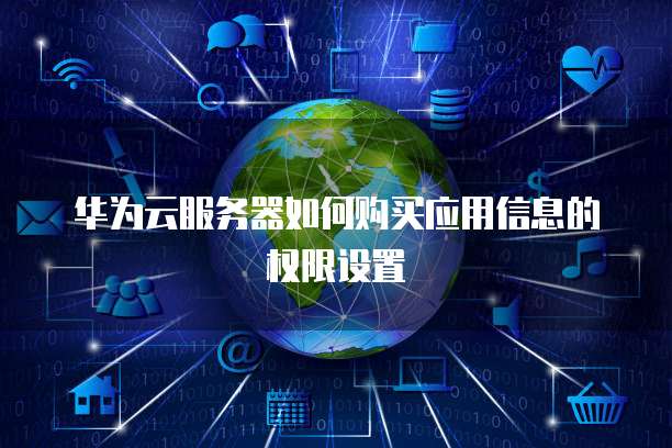 华为云服务器如何购买应用信息的权限设置