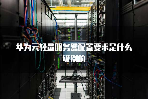 华为云轻量服务器配置要求是什么级别的