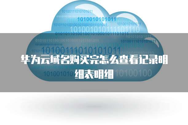 华为云域名购买完怎么查看记录明细表明细
