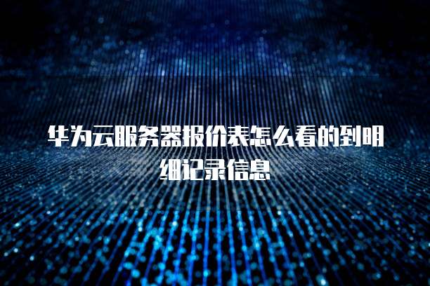 华为云服务器报价表怎么看的到明细记录信息