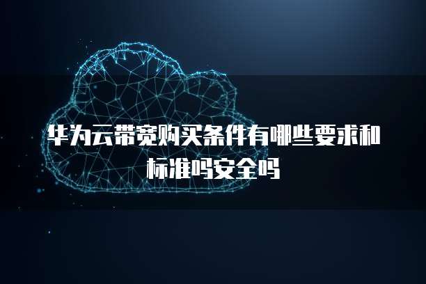 华为云带宽购买条件有哪些要求和标准吗安全吗