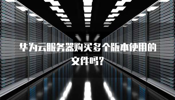 华为云服务器购买多个版本使用的文件吗?