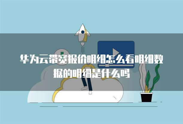 华为云带宽报价明细怎么看明细数据的明细是什么吗