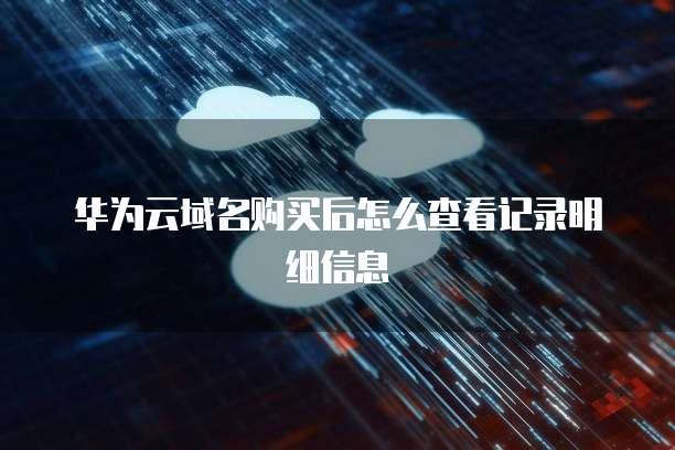 华为云域名购买后怎么查看记录明细信息