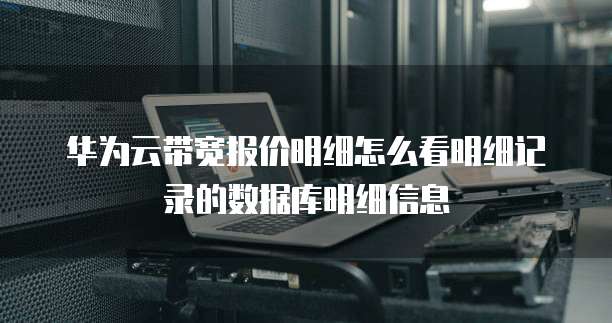 华为云带宽报价明细怎么看明细记录的数据库明细信息