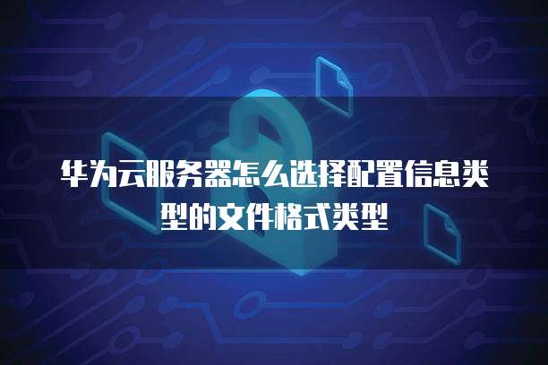 华为云服务器怎么选择配置信息类型的文件格式类型