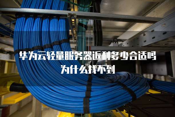 华为云轻量服务器返利多少合适吗为什么找不到