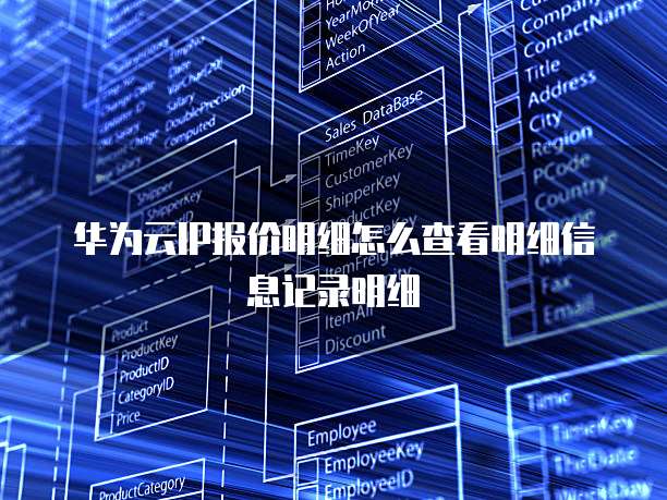 华为云IP报价明细怎么查看明细信息记录明细