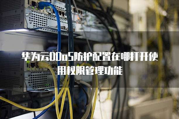 华为云DDoS防护配置在哪打开使用权限管理功能