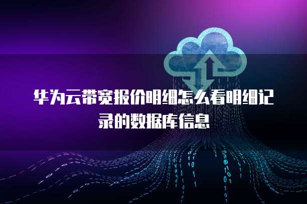华为云带宽报价明细怎么看明细记录的数据库信息