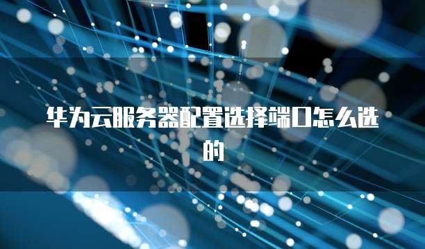 华为云服务器配置选择端口怎么选的