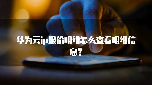 华为云ip报价明细怎么查看明细信息?