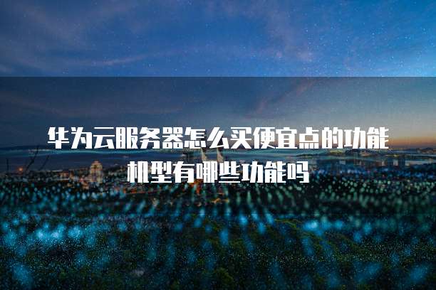 华为云服务器怎么买便宜点的功能机型有哪些功能吗