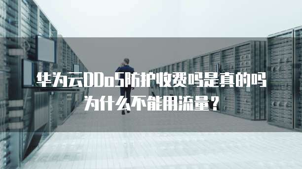 华为云DDoS防护收费吗是真的吗为什么不能用流量?