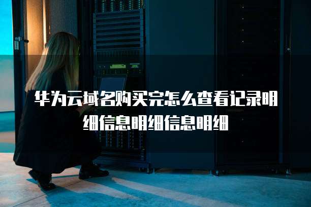 华为云域名购买完怎么查看记录明细信息明细信息明细