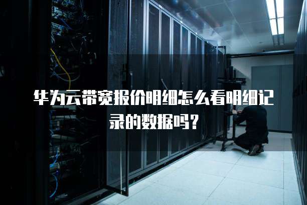 华为云带宽报价明细怎么看明细记录的数据吗?