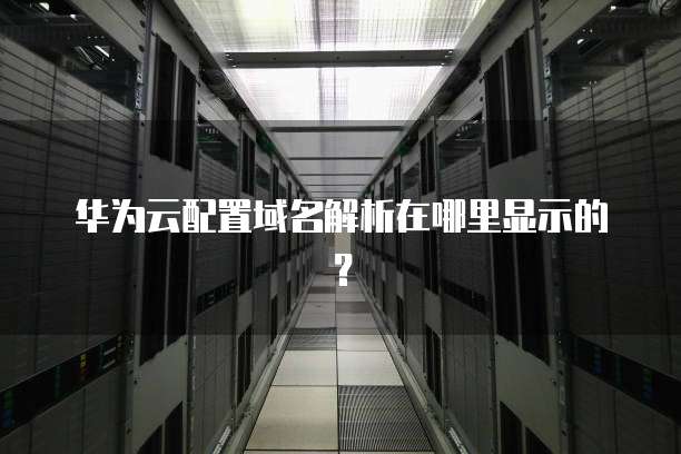 华为云配置域名解析在哪里显示的?